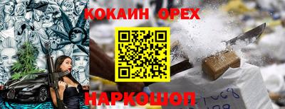 крисы Малгобек