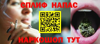 крисы Малгобек
