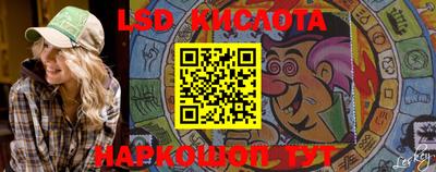 крисы Малгобек